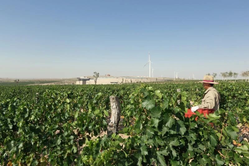 微信图片_20200414130924