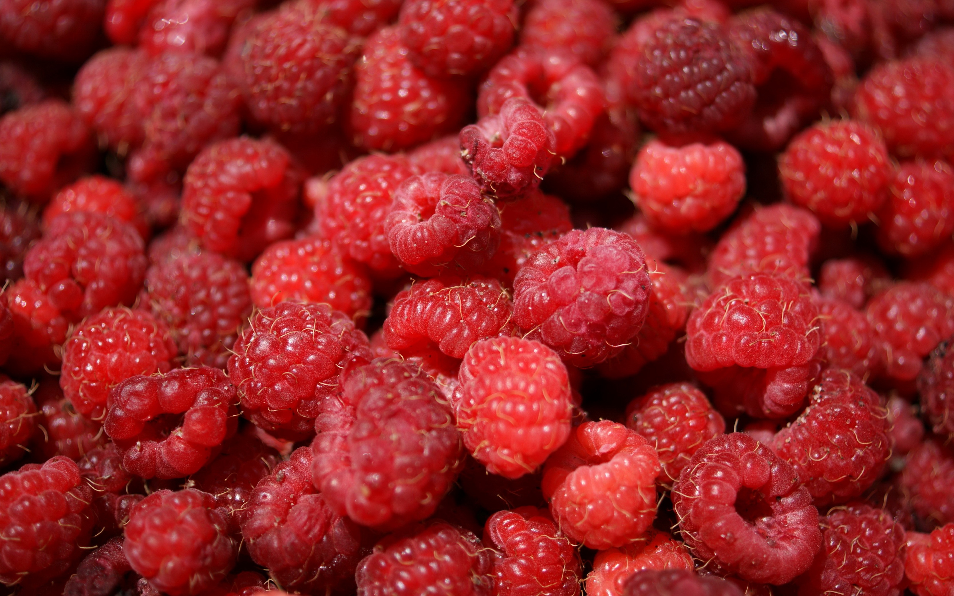 raspberries-3798021