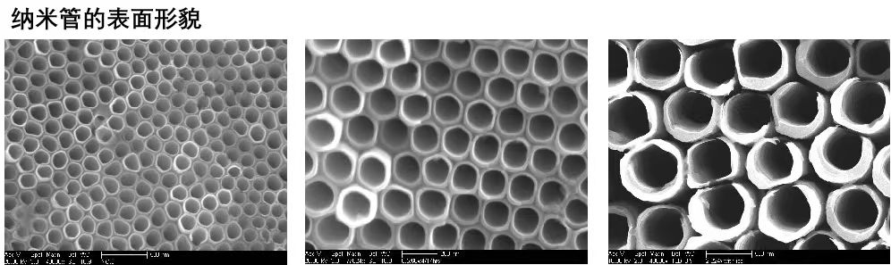 二氧化钛（TiO2）纳米管阵列-企业官网