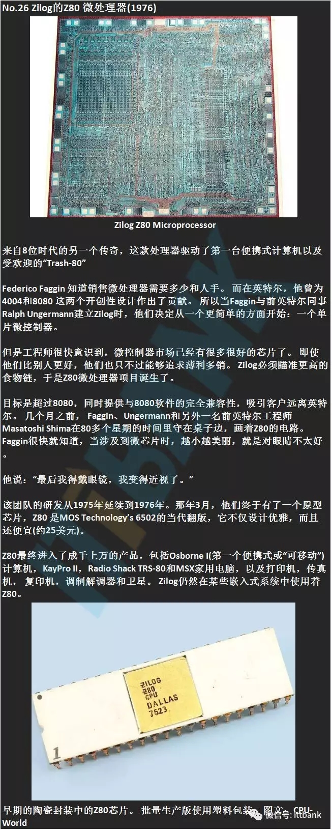 41.webp