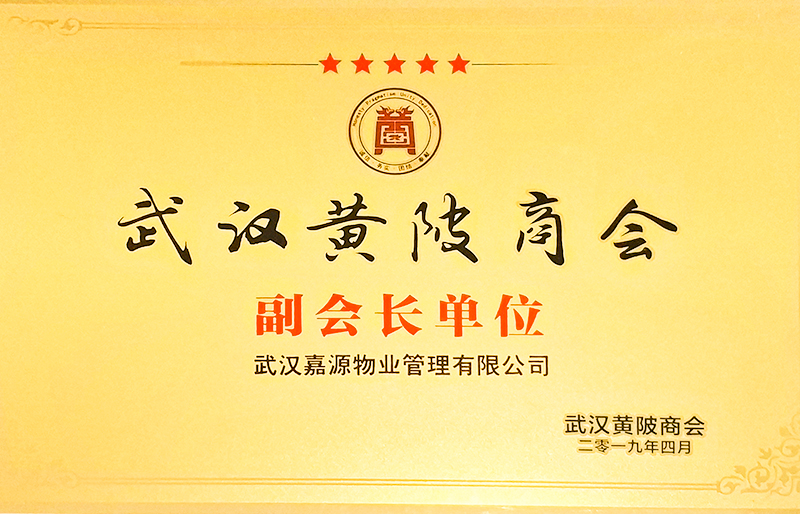 2019年获武汉黄陂商会副会长单位称号