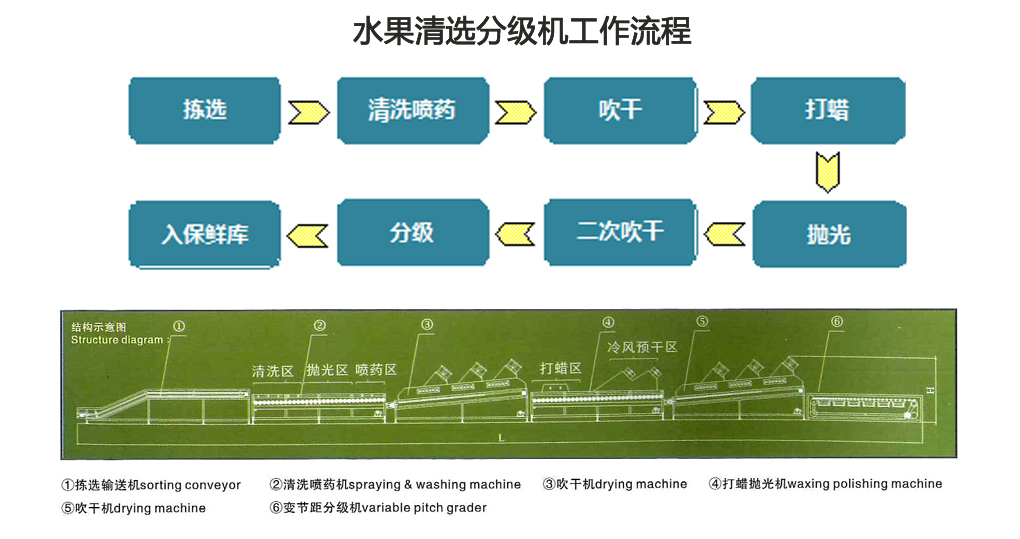 水果清选分级机C副本