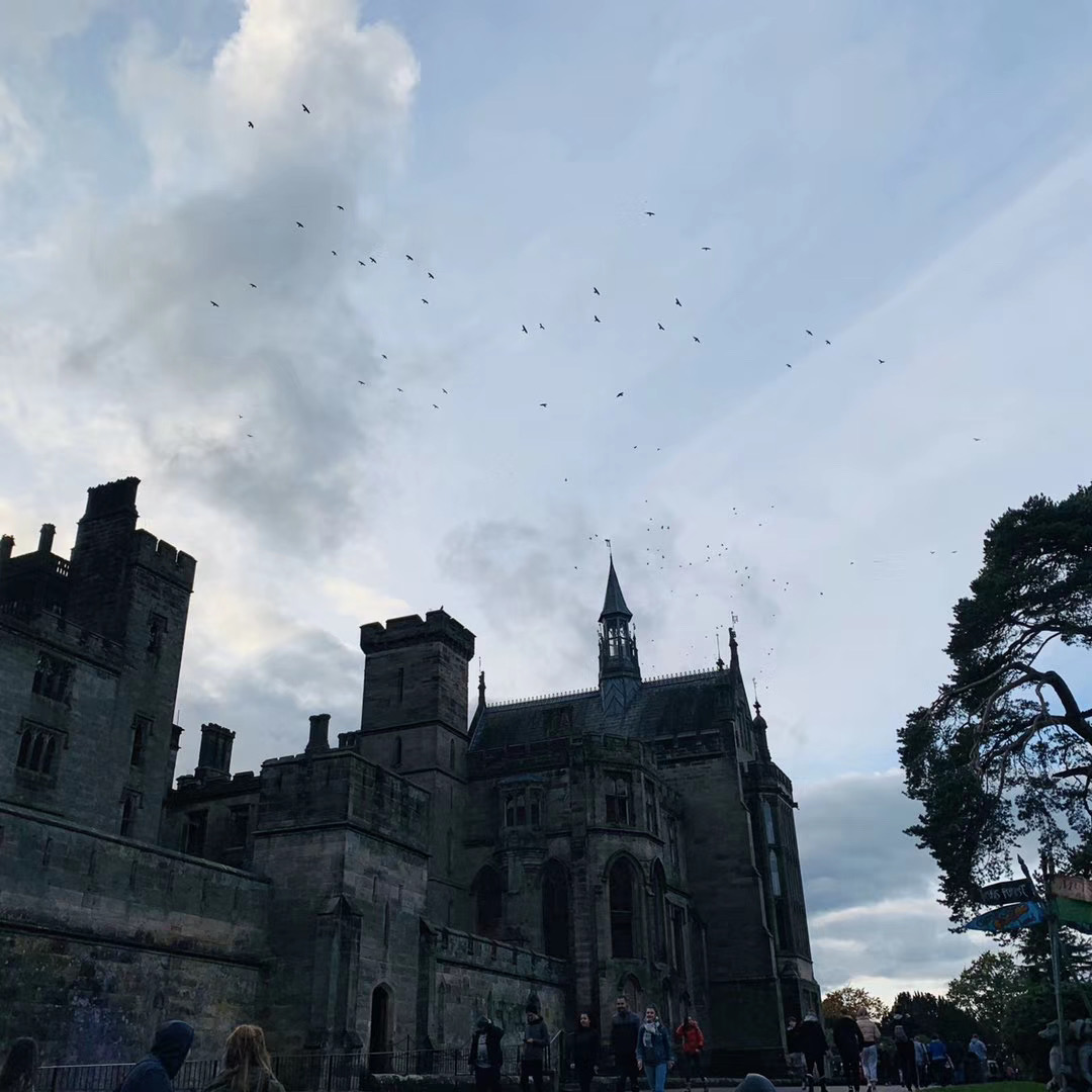 携手德比新生，领略Altontower的风情-15