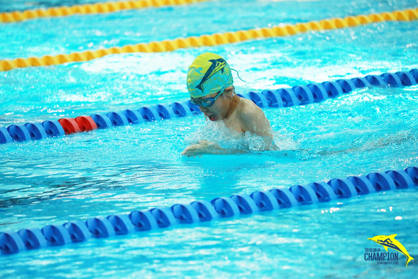 first-usa-swimming-association-swims-performance-certification-bcis