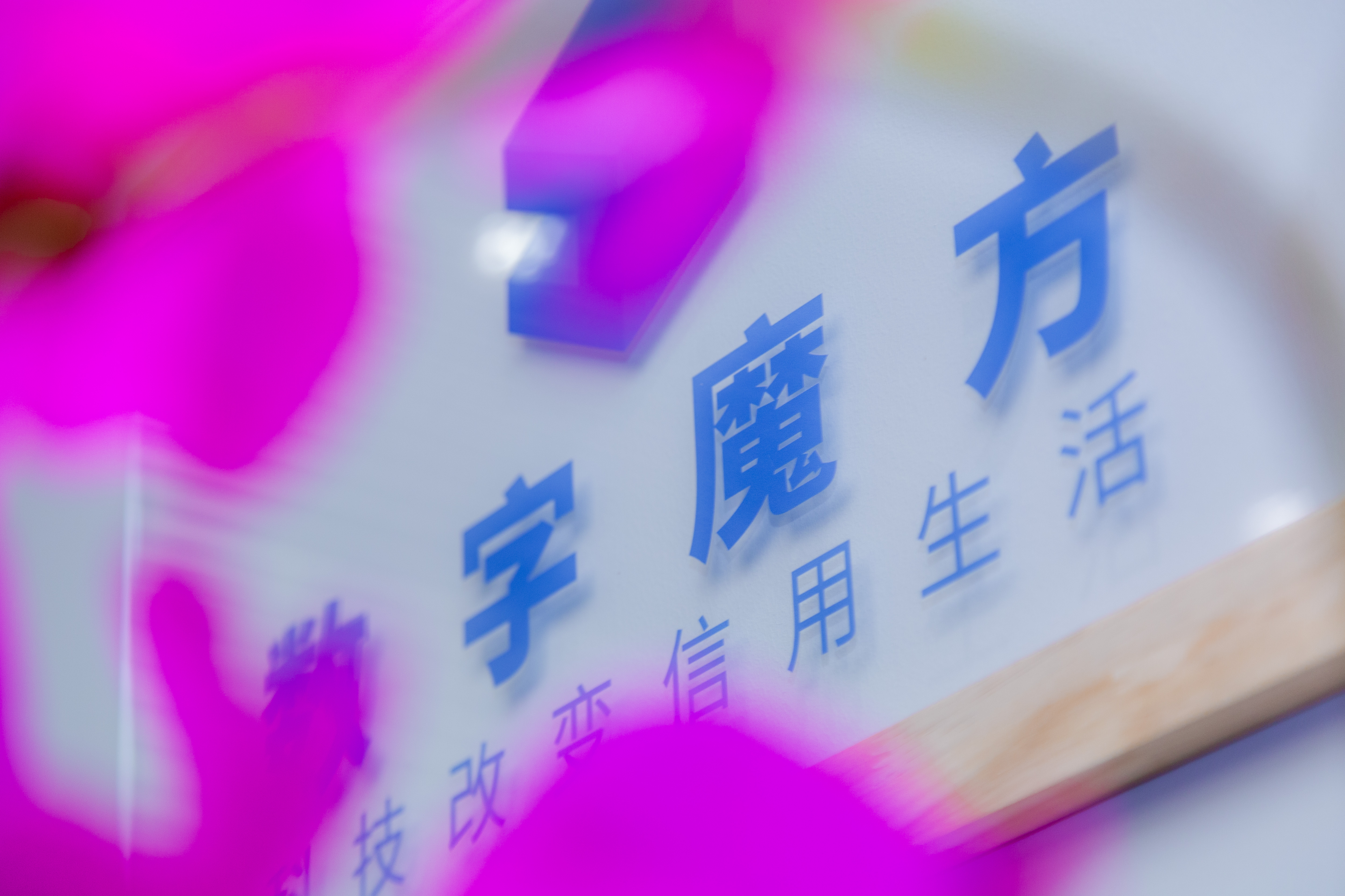 ONE_5819