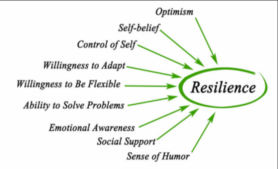 resilience-definition-print-motivational-wall-art-digital-download