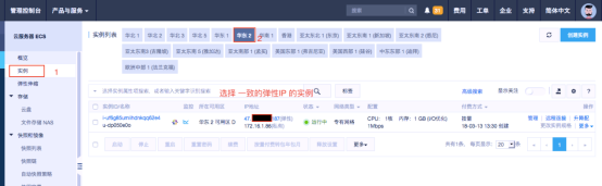 ECS-查看实例