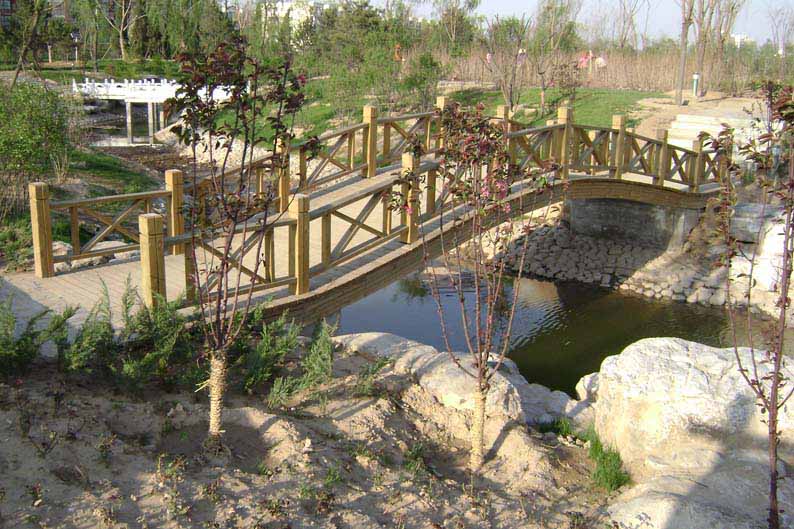 公园防腐木桥