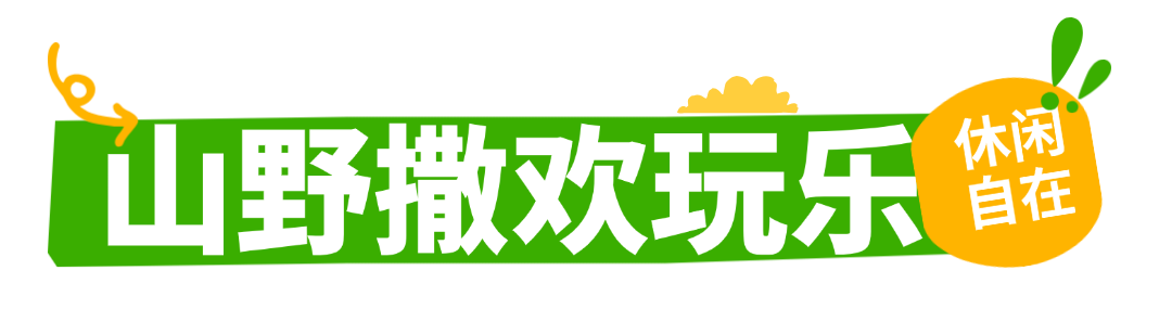 夏日夏季露营旅游绿色清新户外公众号文章标题 (3).png
