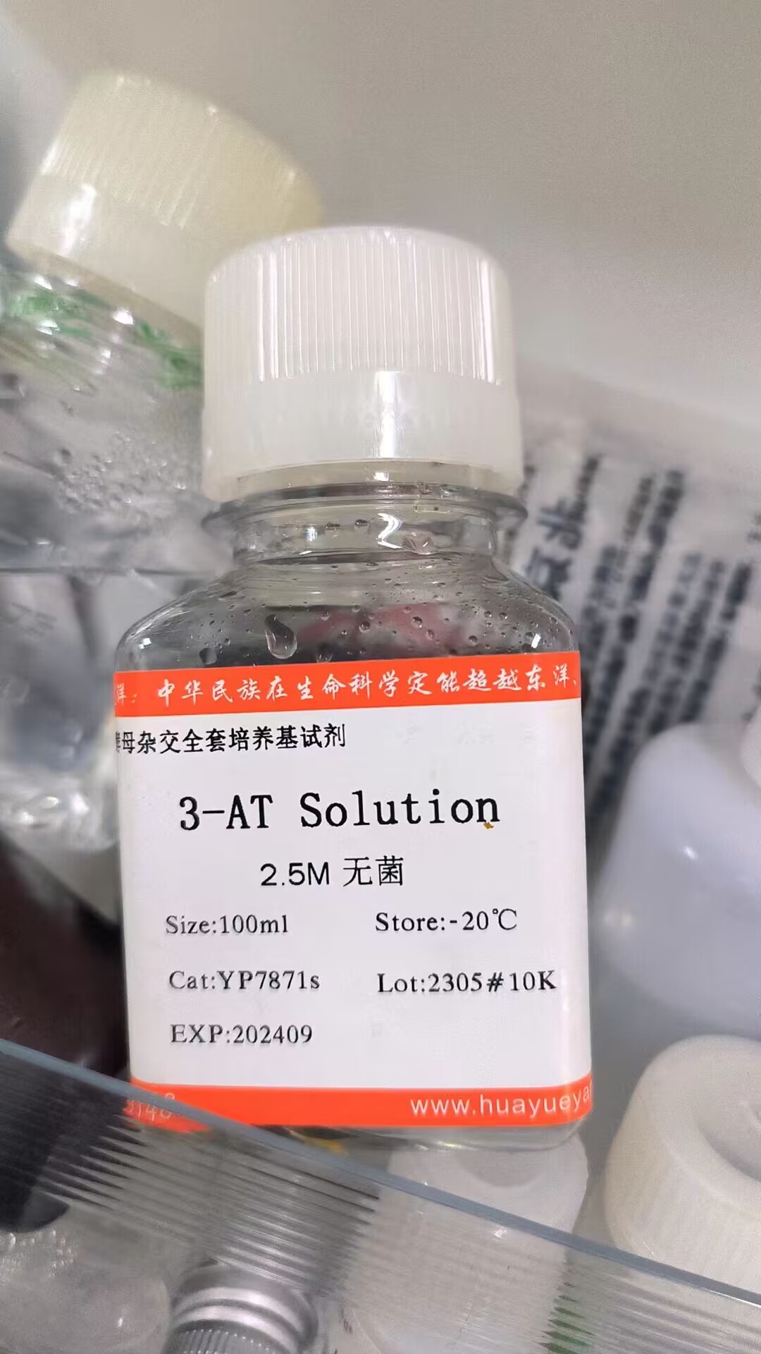 G21-`-DW-T_5KMZ-KSLQG
