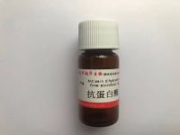 微信图片_20241230131200