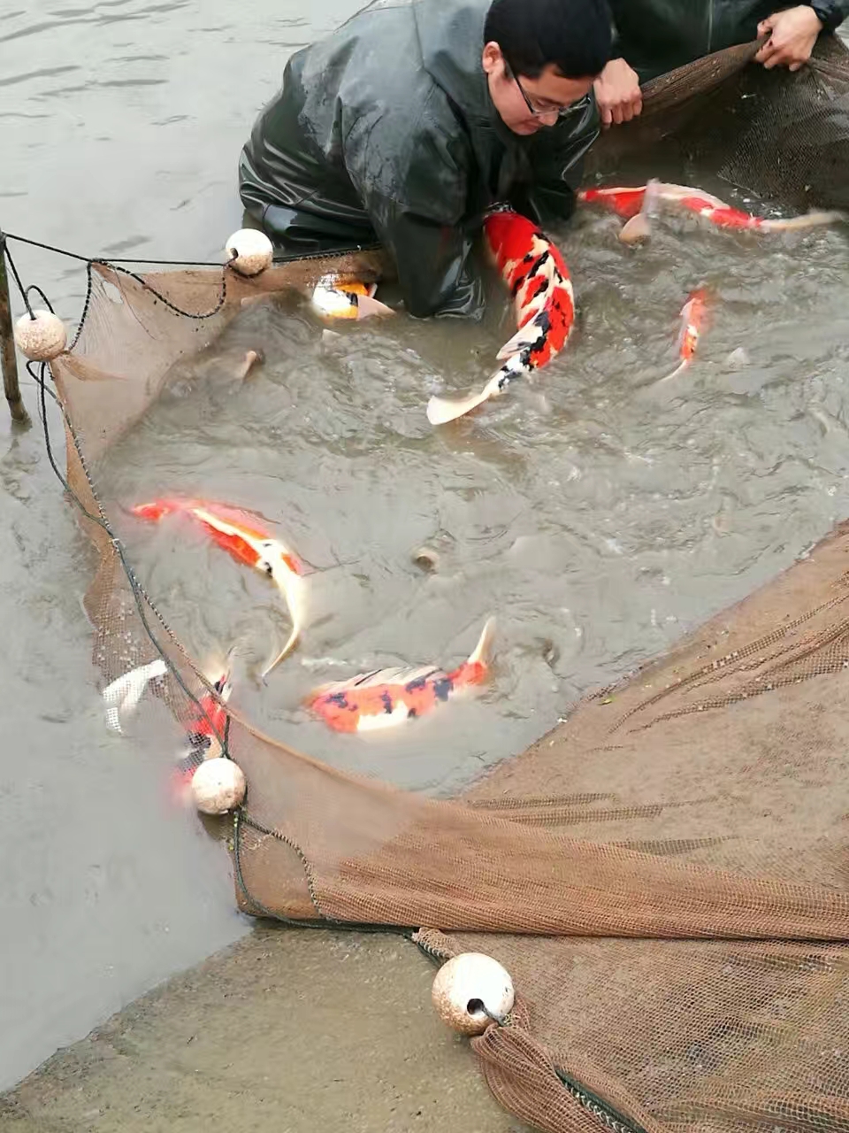 板桥水库 遗址_板桥水库纪念馆_板桥水库纪念碑