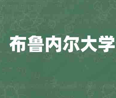 英国布鲁内尔大学Brunel University特色，排名，专业及入学条件介绍