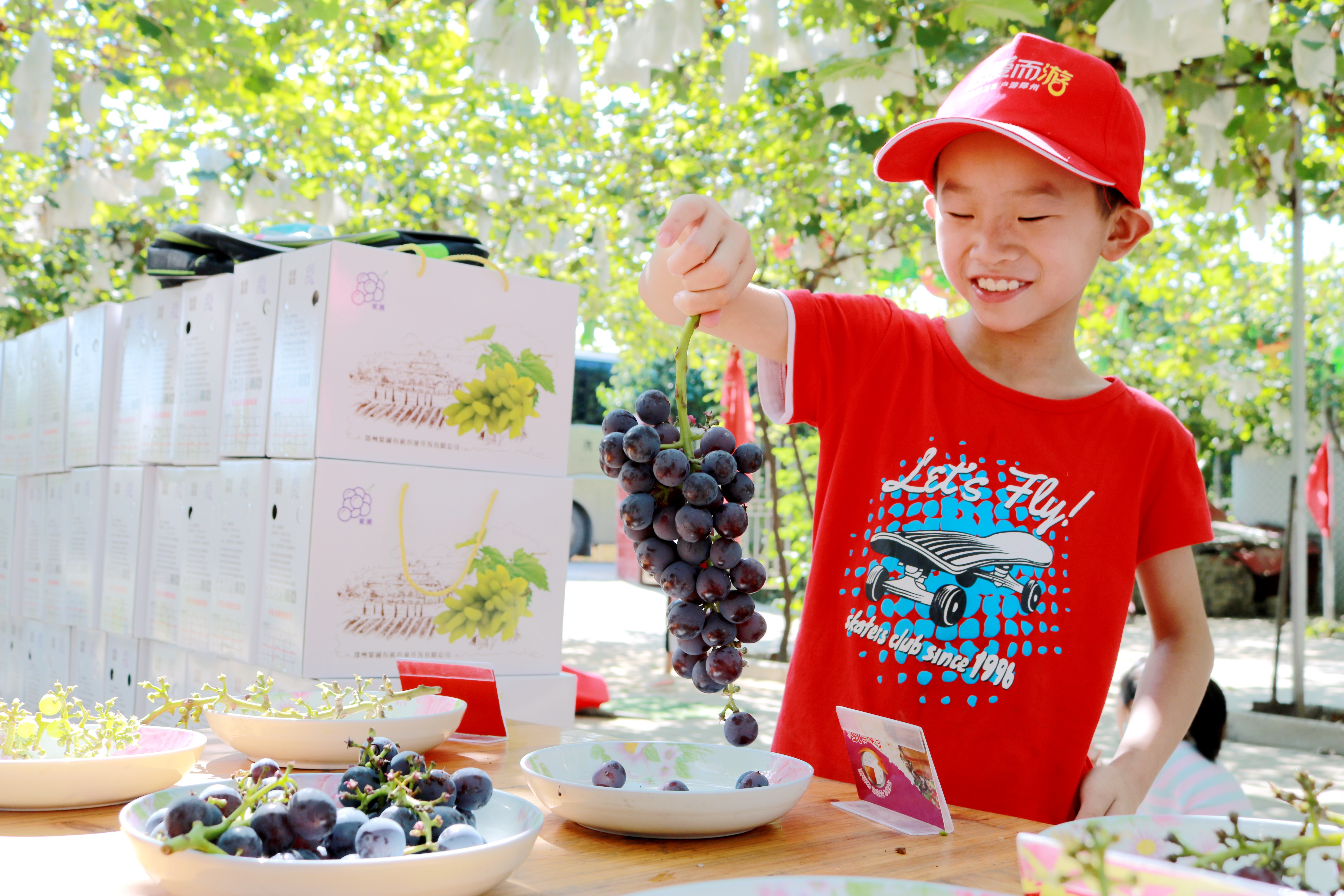 "葡萄王国"一日游,荥阳35名困境儿童玩嗨了