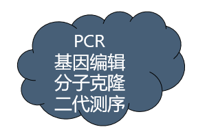 微信截图_20191107110151