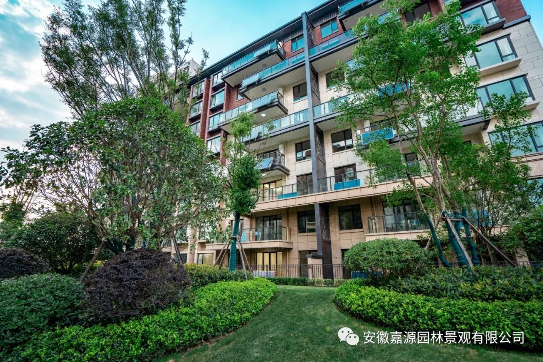 置地·双清湾天悦——在夏日园林里,与美景不期而遇-嘉源园林-安徽