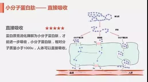 新建文件夹-3-微信图片_20200303125201