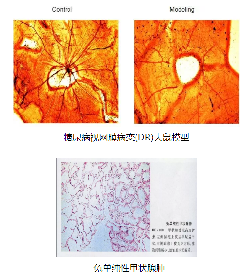 科研服务平台图片-微信截图_20191120101550