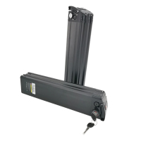 XE-SILVERFISH-750-750-1