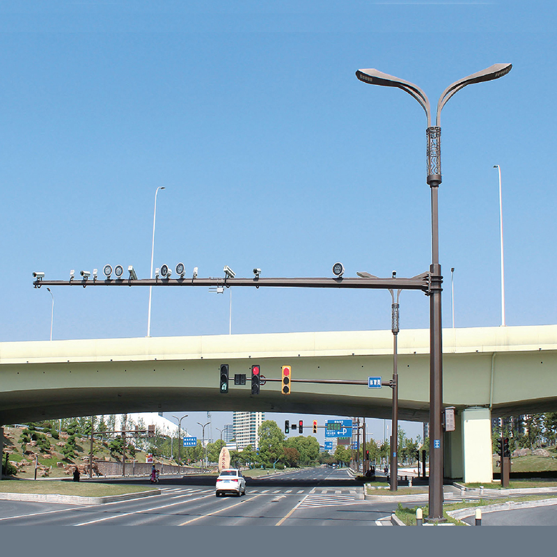 多杆合一(lb-dg041)-"联堡照明"官网