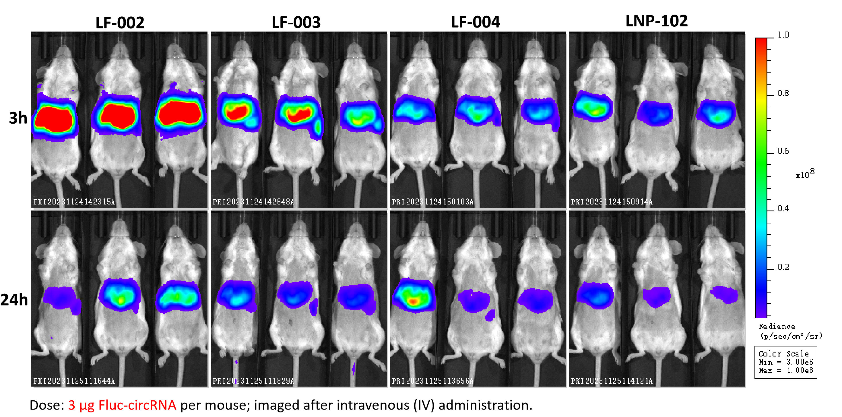 Longuide biopharma corporation liver targeting