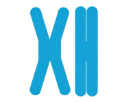 X肌贴片