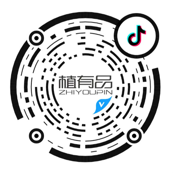 11379128_meitu_1