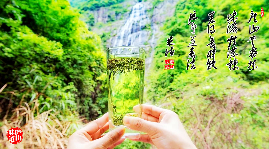 庐山云雾茶