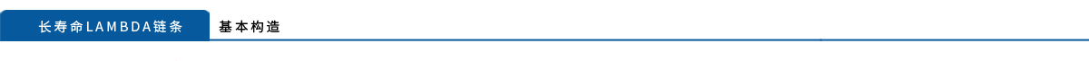 长寿命Lambda链条的基本构造