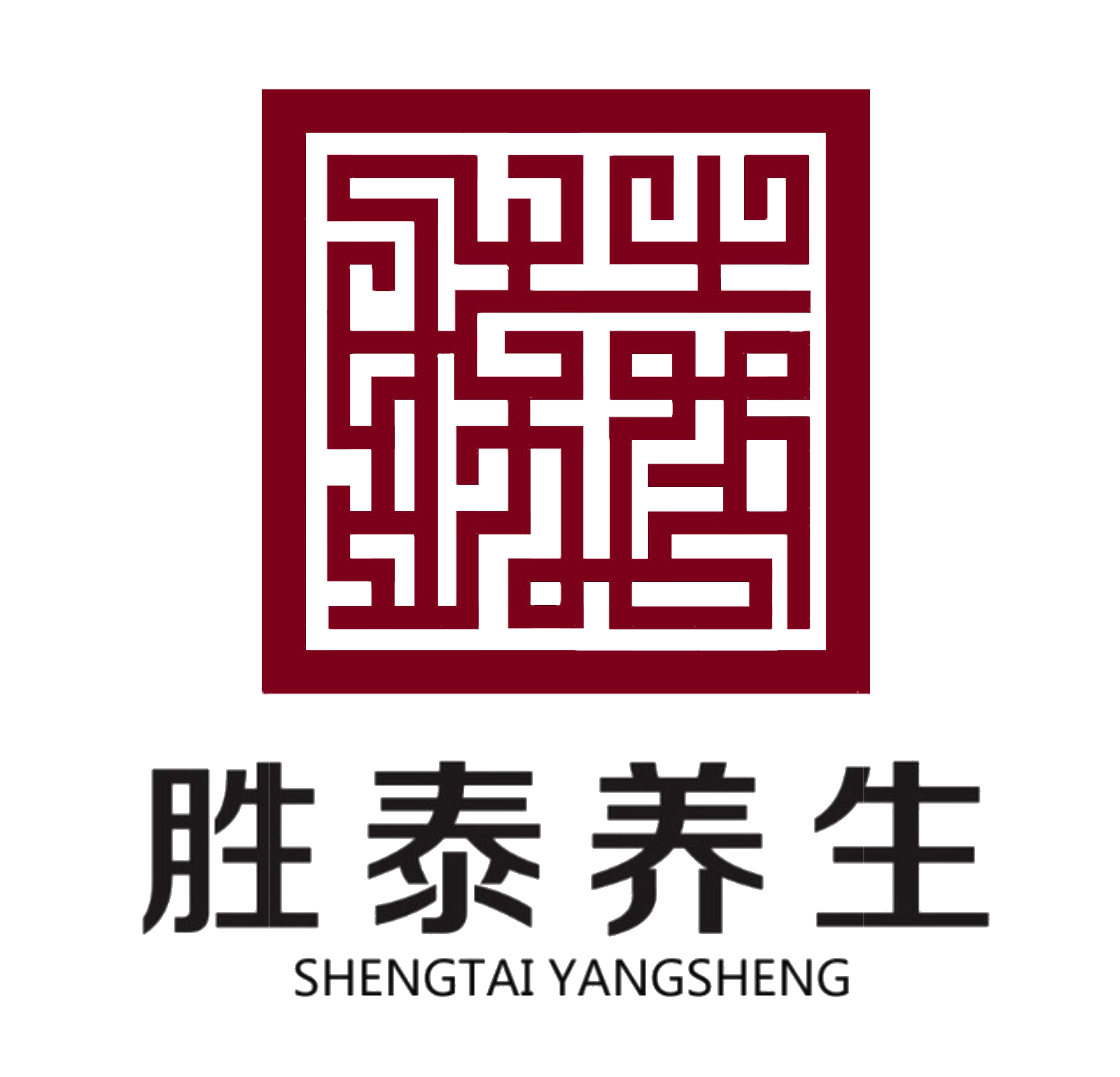 胜泰logo2副本