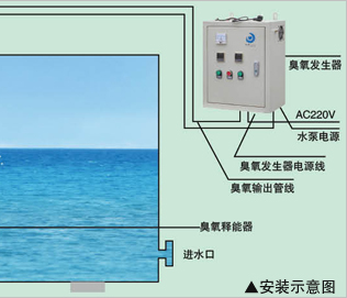 其工作原理是臭氧發生器通過氧氣源水冷或空氣源風冷兩種方式持續製備