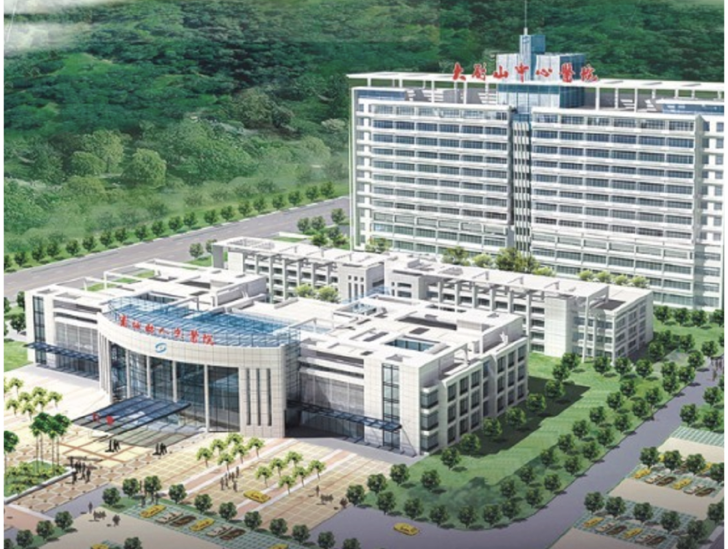 “互联网+智慧医疗健康”建设项目