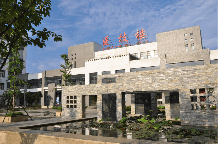 院内信息化一体化建设