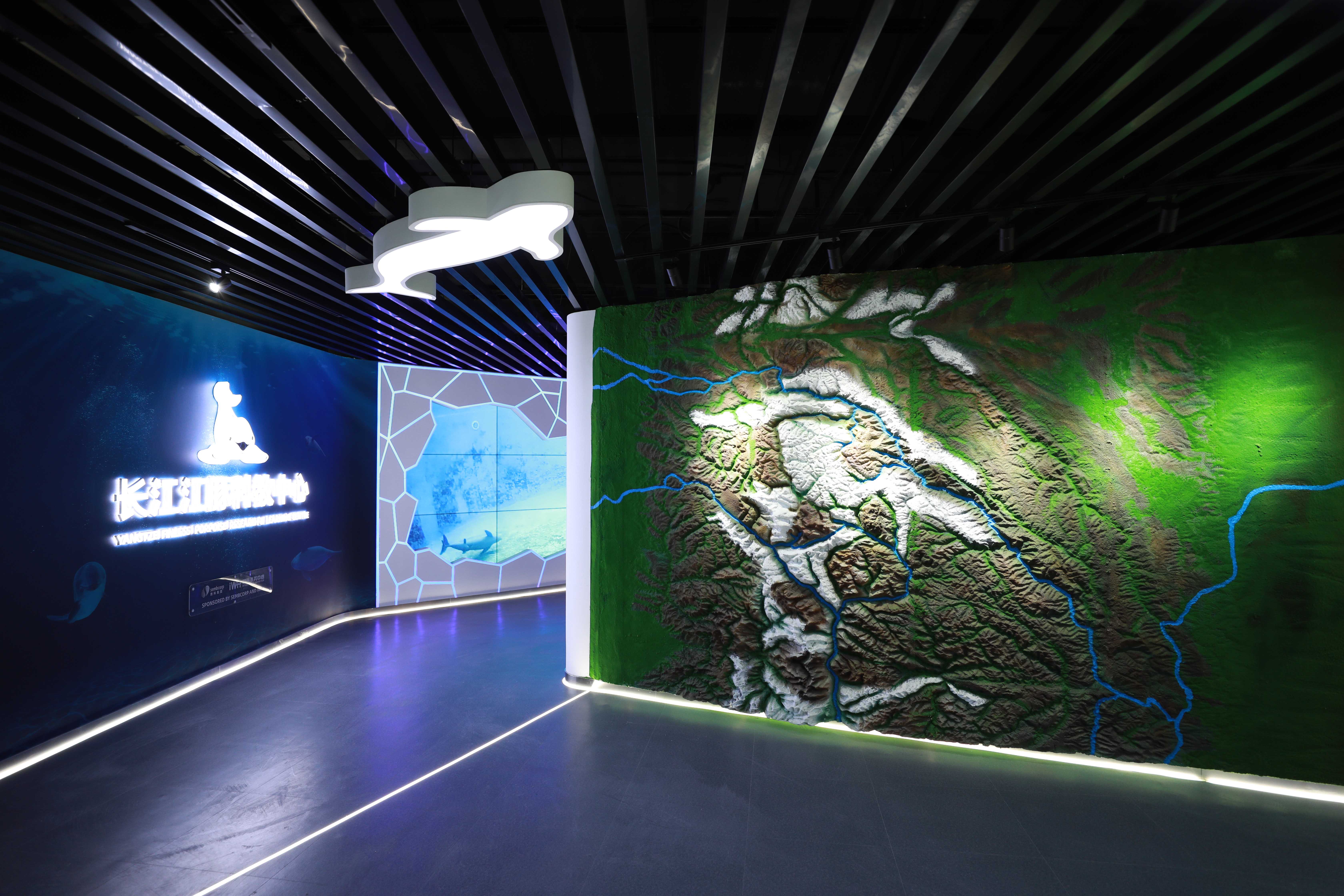 南京长江江豚科教中心开幕