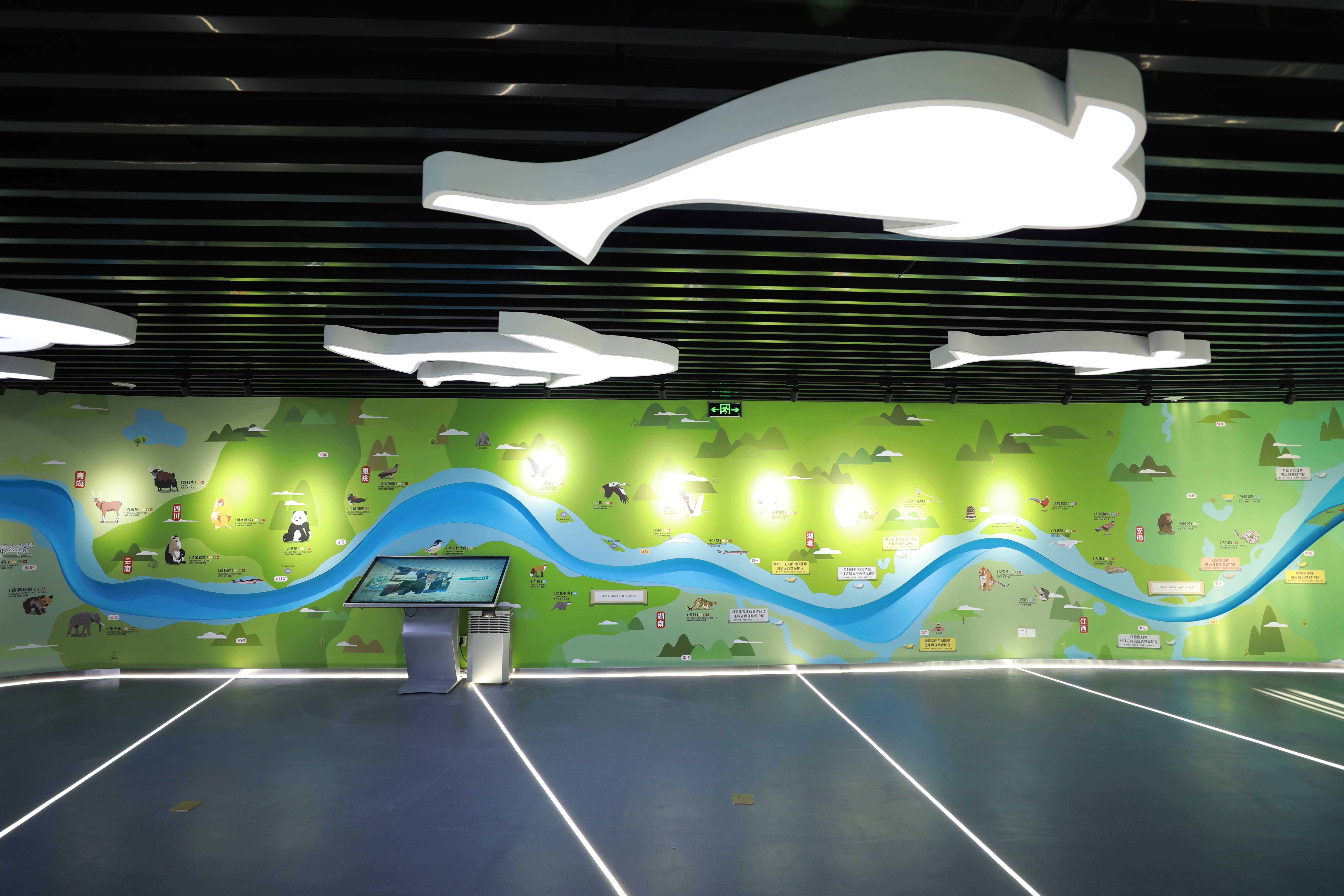 南京长江江豚科教中心开幕