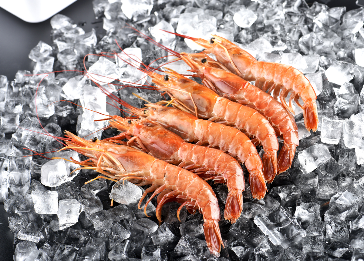 阿根廷红虾|摄影|产品|wangyue王悦 - 原创作品 - 站酷 (ZCOOL)