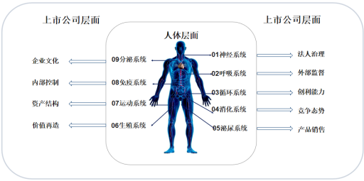 成组
