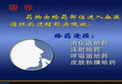 1617781428(1)