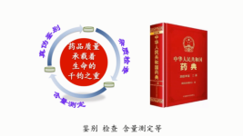 a49094c004fdd719c3e860258b4865c