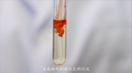 0956b579e0581ed9e20d9e441bf2d32