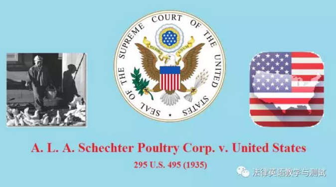 Schechter poultry 2024 v us