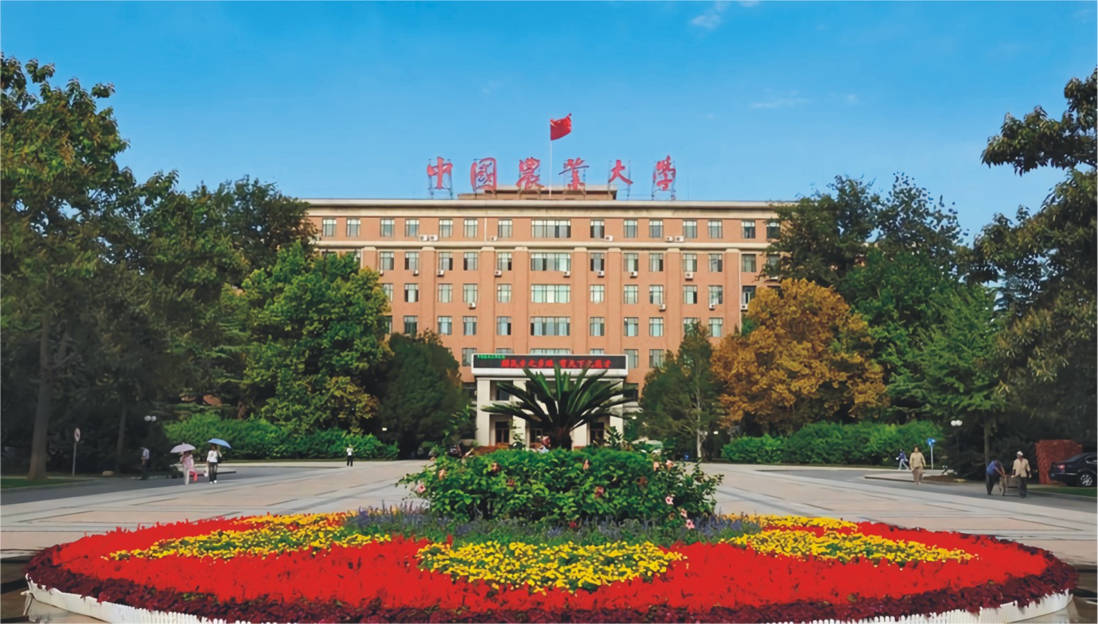 中国农业大学