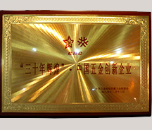 2008年三十年辉煌中国五金创新企业