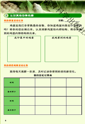 三下22認識其他動物的卵樓和東