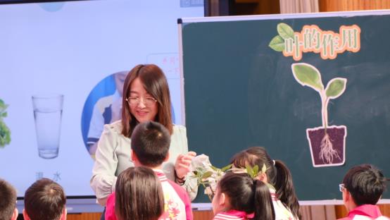 E:\科学教学\上虞区小学科学教师专业发展共同体\建个人专贴\2023年活动\2023年10月24-25日浙江省小学科学“关键问题解决”暨科学新课标主题研训活动\省科学关键问题报道照片精选1\叶的作用1.JPG