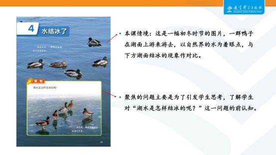 13三年级上册“水”单元解读-舒刚_25