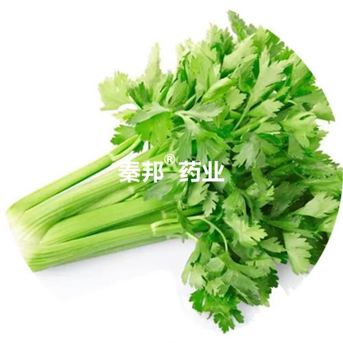 Celery 中文