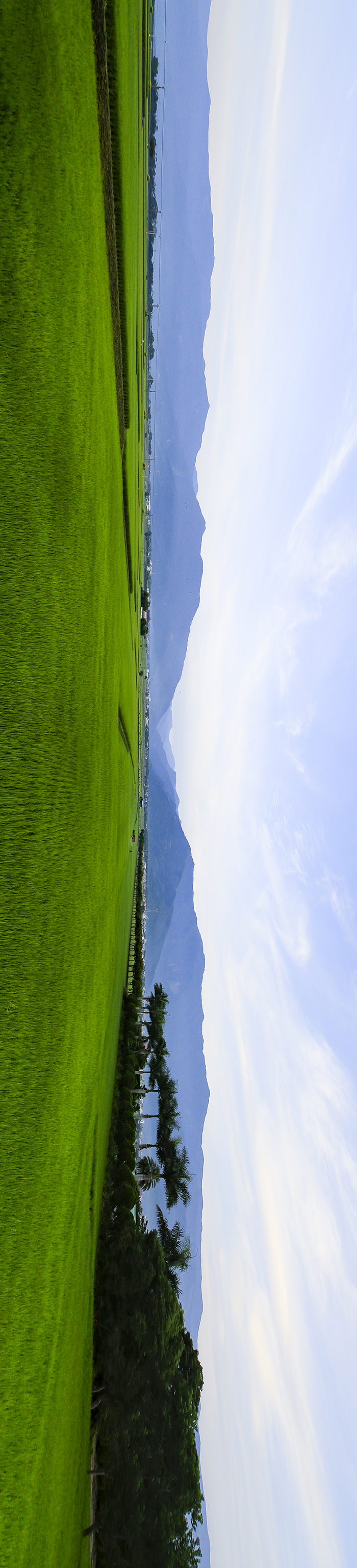池上3