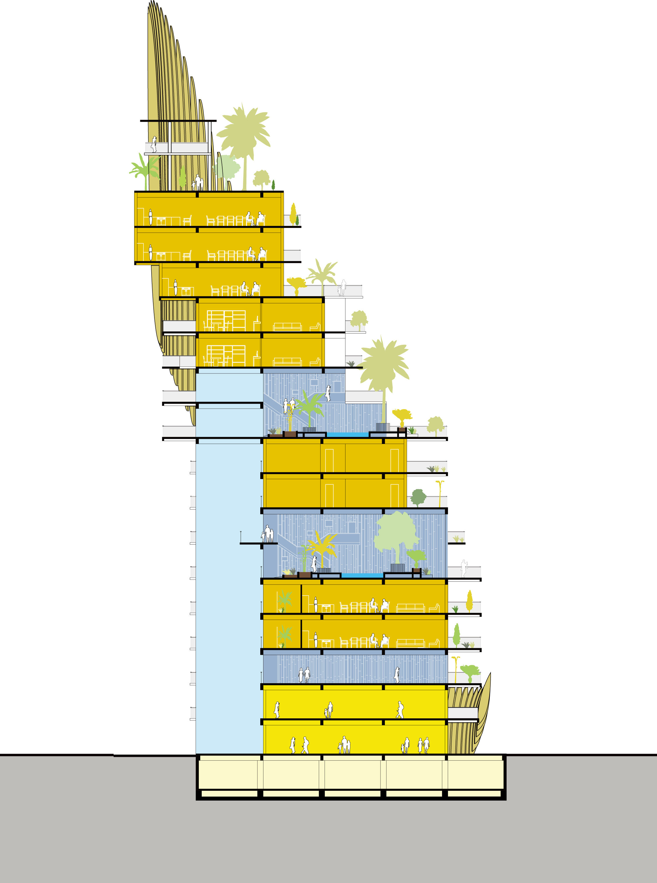 Xishuangbanna_Drawing_Section