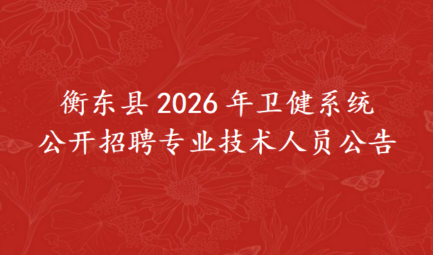 衡东县2026年卫健系统公开招聘专业技术人员公告